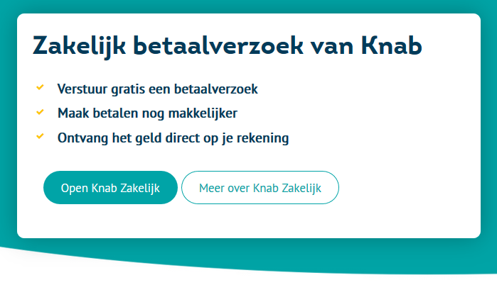 knab betaalverzoek zakelijk